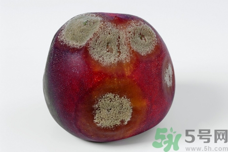 水果發(fā)霉了可以吃嗎？發(fā)霉的水果對人體有什么危害？