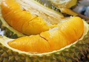 小孩能吃榴蓮嗎？榴蓮小孩能吃嗎？