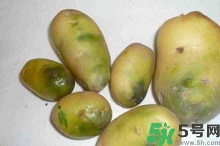 土豆發(fā)綠還能吃嗎？土豆發(fā)綠皮削皮后能吃嗎？