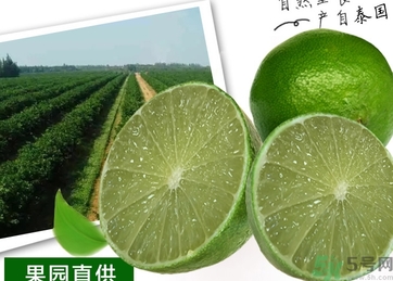 泰國檸檬怎么吃？泰國檸檬的功效作用