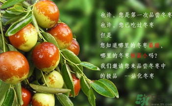 晚上吃棗子會胖嗎？晚上吃新鮮棗子會胖嗎？