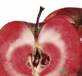 紅肉蘋(píng)果多少錢(qián)一斤？紅肉蘋(píng)果的功效作用
