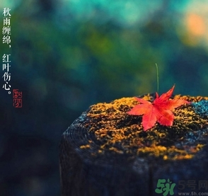 秋分做什么運(yùn)動(dòng)好？秋分運(yùn)動(dòng)注意事項(xiàng)