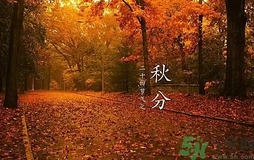 秋分做什么運(yùn)動(dòng)好？秋分運(yùn)動(dòng)注意事項(xiàng)