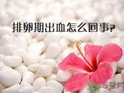 排卵期不懷孕什么原因？排卵期出血
