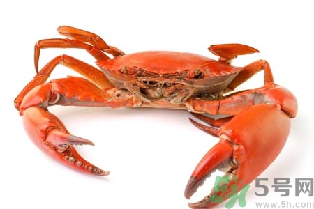 10月吃陽澄湖大閘蟹好嗎？大閘蟹怎么做好吃？