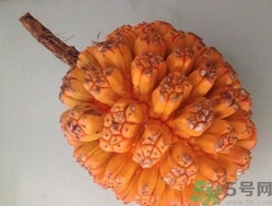 山菠蘿怎么吃？山菠蘿的功效與作用