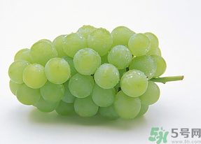 新鮮葡萄能放冰箱嗎？新鮮葡萄的保存方法