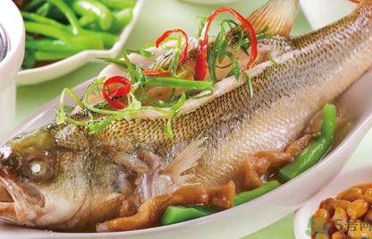 鱸魚(yú)是發(fā)物嗎？手術(shù)后可以吃鱸魚(yú)嗎？
