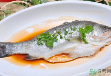 鱸魚(yú)是發(fā)物嗎？手術(shù)后可以吃鱸魚(yú)嗎？