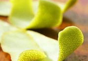 柚子皮能去冰箱異味嗎？為什么柚子皮能去除冰箱的異味？