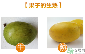 蛋黃果多少錢一斤？蛋黃果什么時候成熟？
