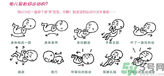 胎動怎么數(shù)最正確？胎動有什么規(guī)律？