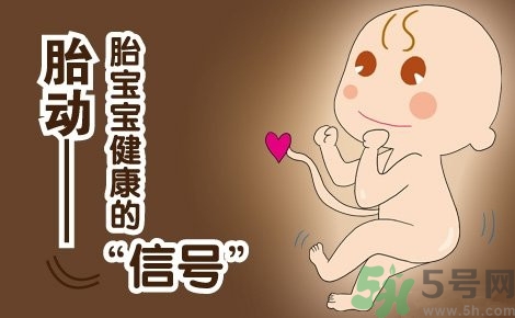 胎動怎么數(shù)最正確？胎動有什么規(guī)律？