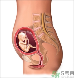 胎動(dòng)頻繁正常嗎?胎動(dòng)頻繁是什么原因？