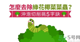 西蘭花里有蟲子怎么辦？花椰菜里面好多蟲怎么辦？