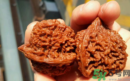核桃長(zhǎng)蟲了還能吃嗎？核桃長(zhǎng)蟲子怎么處理？