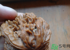 核桃長(zhǎng)蟲了還能吃嗎？核桃長(zhǎng)蟲子怎么處理？
