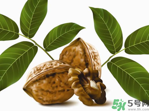 核桃一天吃幾個(gè)合適？核桃一天吃幾個(gè)最好？
