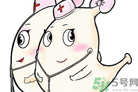 胃會餓小嗎？經(jīng)常肚子餓對胃有什么影響？