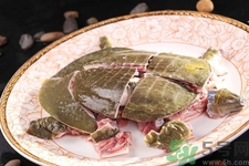 甲魚怎么殺？甲魚怎么處理？