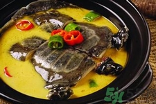 喝甲魚血能治陽痿嗎？甲魚血能喝嗎？