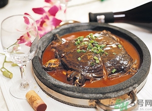野生甲魚(yú)和養(yǎng)殖甲魚(yú)哪個(gè)好?野生甲魚(yú)和養(yǎng)殖甲魚(yú)的區(qū)別