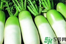 白蘿卜怎么吃最好？白蘿卜怎么吃最有營養(yǎng)？