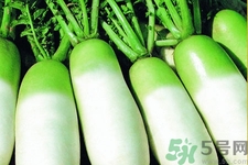 為什么冬吃蘿卜夏吃姜？冬天吃白蘿卜有什么好處？