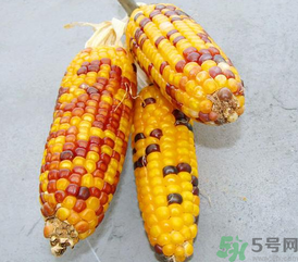 彩色玉米是轉(zhuǎn)基因嗎？彩色玉米能吃嗎？