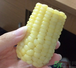 玉米沒煮熟能吃嗎？沒煮熟的玉米能吃嗎？