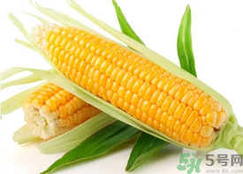 新鮮玉米怎么保存？鮮玉米怎么保存？