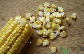 玉米粒可以釣什么魚？玉米粒釣魚方法