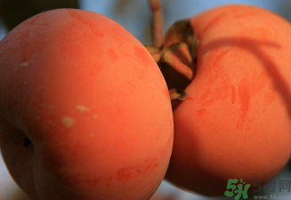 大柿子不能和什么同吃？大柿子和什么食物相克？