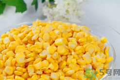 秋天釣魚用什么餌料？秋季釣魚用什么餌料好？