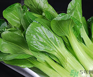 青菜可以放冰箱嗎?青菜能放冰箱保鮮嗎? 青菜可以放冰箱嗎?青菜能放冰箱保鮮嗎?