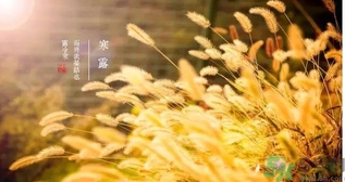 寒露吃什么好？寒露食療