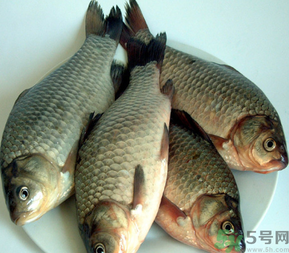 秋天釣鯽魚(yú)用什么餌料？秋天釣鯽魚(yú)用什么味餌？