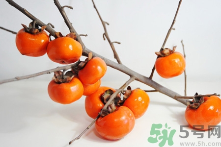 坐月子能吃脆柿子嗎？脯乳期可以吃脆柿子嗎？
