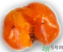 新鮮柿子皮可以吃嗎？吃了柿子皮怎么辦？
