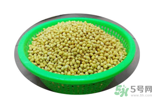 新鮮黃豆怎么保存？新鮮黃豆米如何保存？