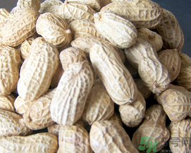 新鮮花生可以放冷凍嗎？新鮮花生可以放冰箱嗎？