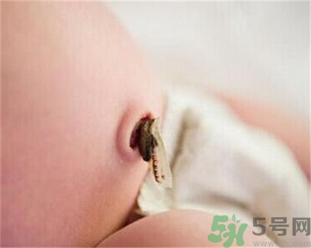 新生兒肚臍怎么護(hù)理？新生兒肚臍什么時(shí)候掉？