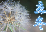 立冬可以釣魚嗎？立冬釣魚注意事項(xiàng)