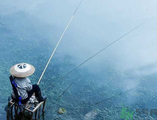 十月份釣什么魚(yú)？十月份釣魚(yú)技巧