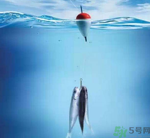 秋天釣魚深水還是淺水？秋天釣魚釣深水還是淺水？