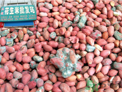 花生米發(fā)霉了還能吃嗎？花生米發(fā)霉了怎么辦？