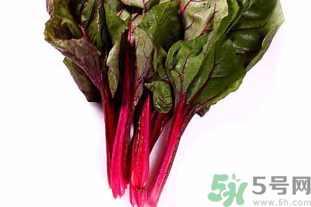 甜菜是蘿卜嗎？甜菜和蘿卜的區(qū)別