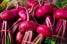 吃甜菜有什么好處？吃甜菜對身體好嗎？