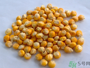 玉米用什么泡釣魚好？玉米怎么泡好釣魚？